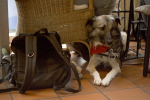 Veedelshelden Müllem! – Unser Gespräch mit der Kölschen Linda