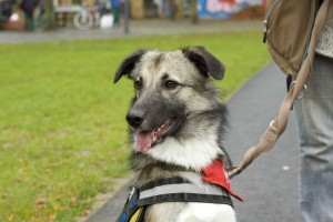 Veedelshelden Müllem! – Unser Gespräch mit der Kölschen Linda